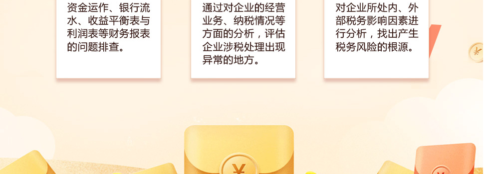 稅務(wù)風(fēng)險診斷(圖4)